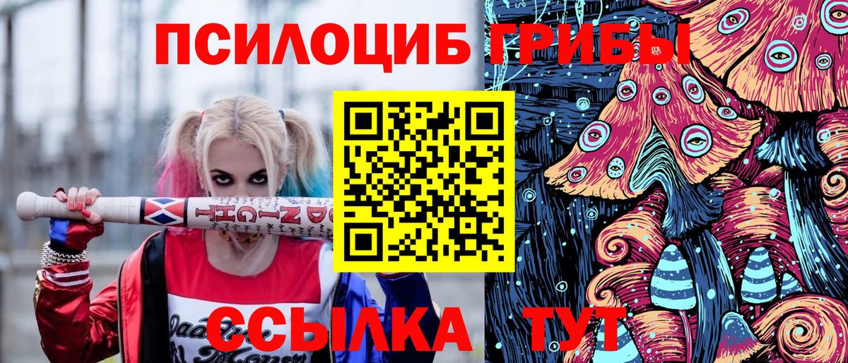 Псилоцибиновые грибы Cubensis  Галлюциногенные грибы прущие грибы  Вход с VPN  Артём 