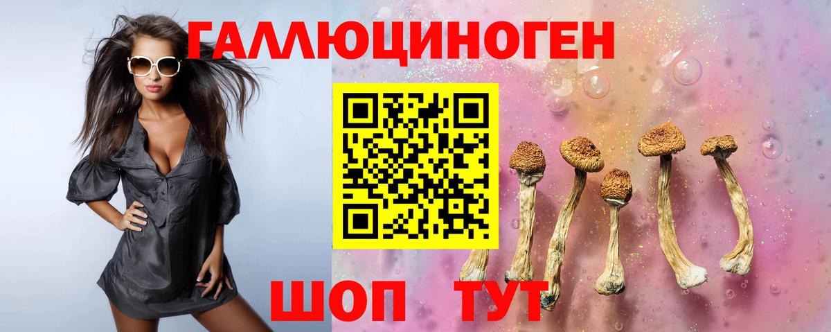 Псилоцибиновые грибы Psilocybine cubensis Артём